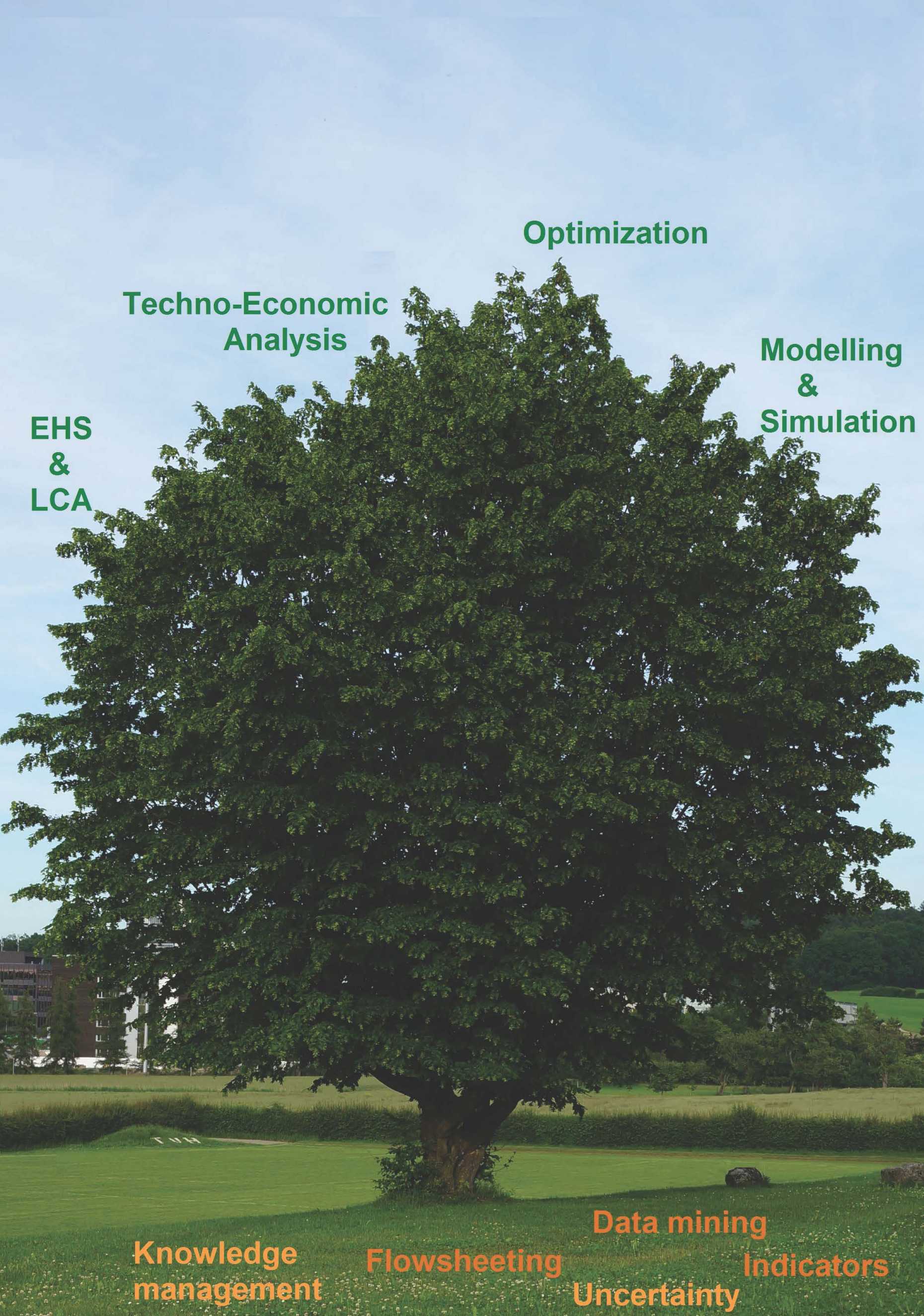 Tree structure of research focus